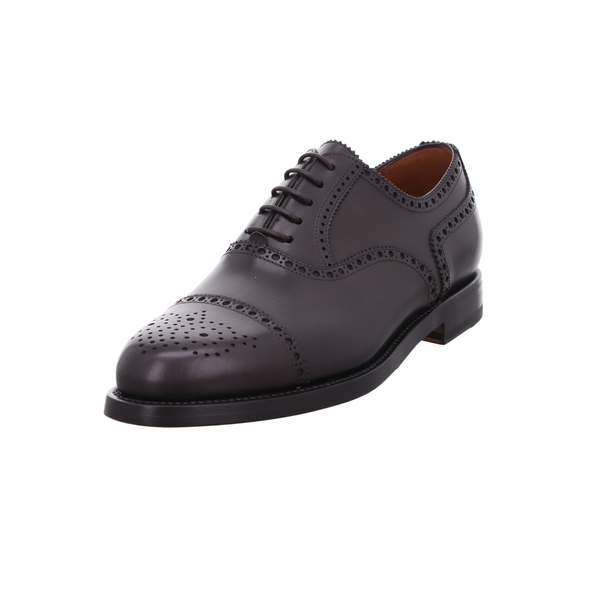 Halbschuh, Lendvay & Schwarcz