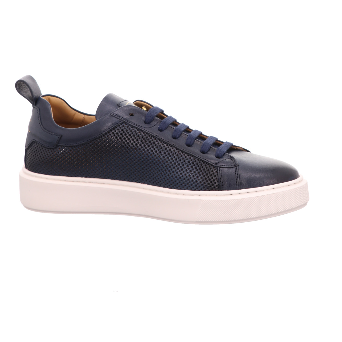 Sneaker, Corvari Blau