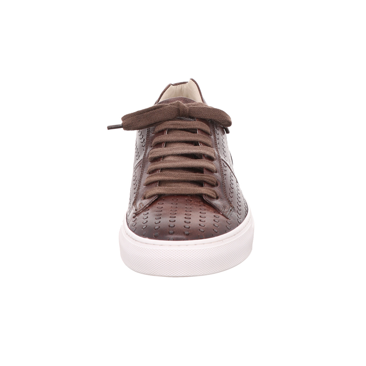 Sneaker, Corvari Braun