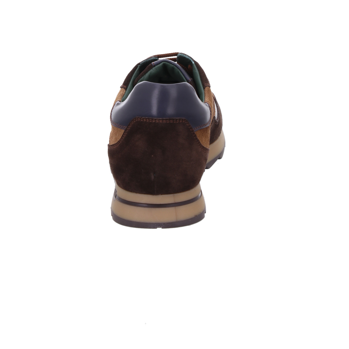Sneaker, Galizio Torresi Braun Kombi