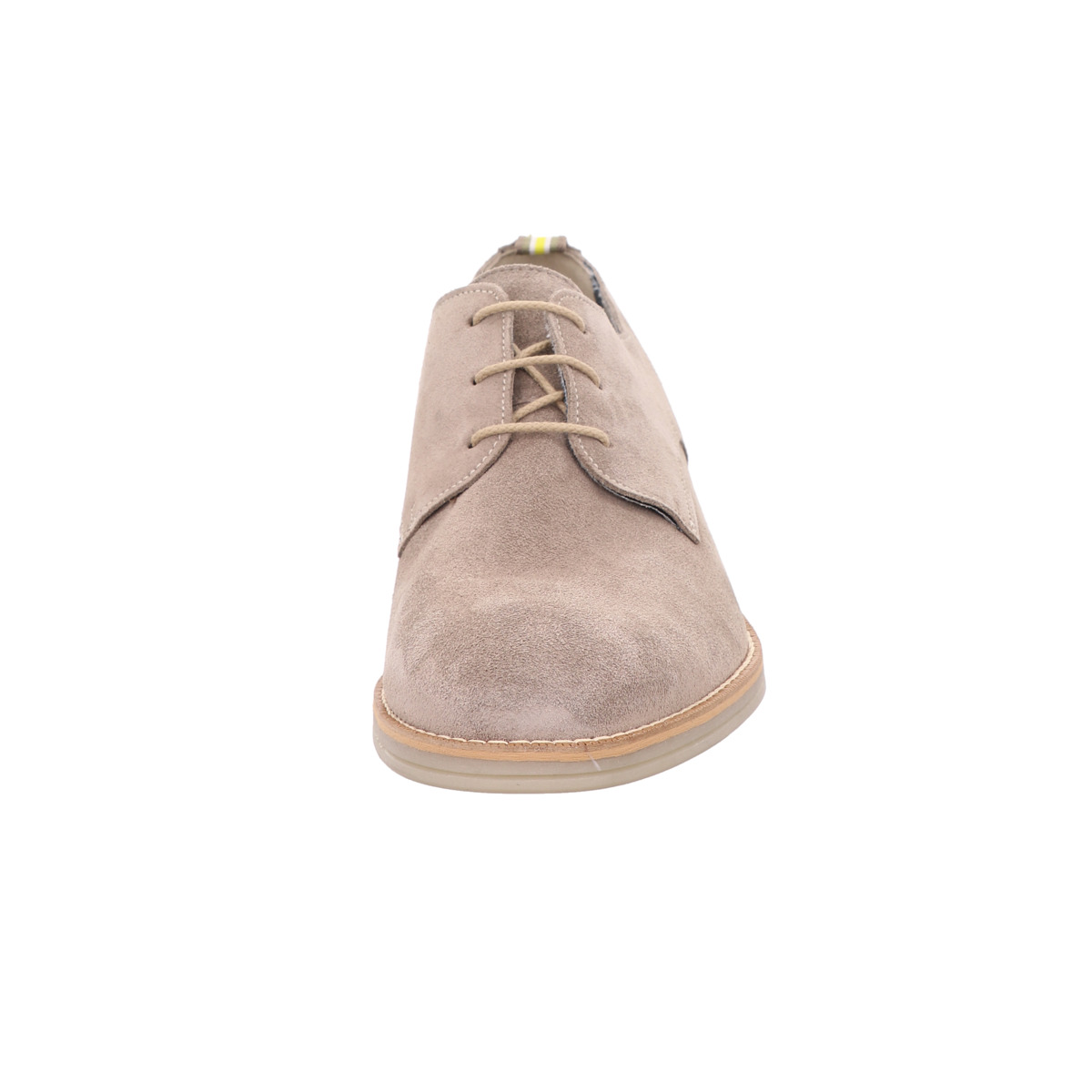 Halbschuh, Dragan, Lloyd Grau
