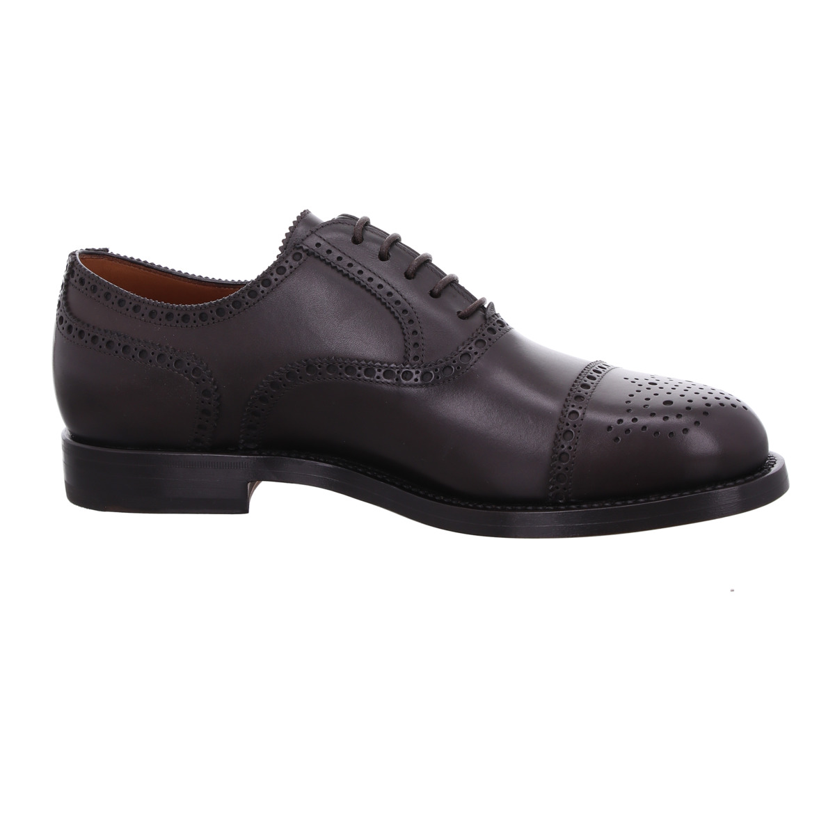 Halbschuh, Lendvay & Schwarcz