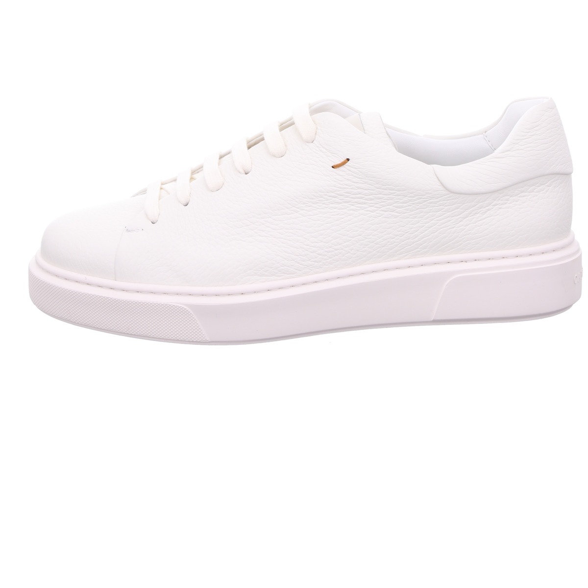 Sneaker, Camerlengo Panna
