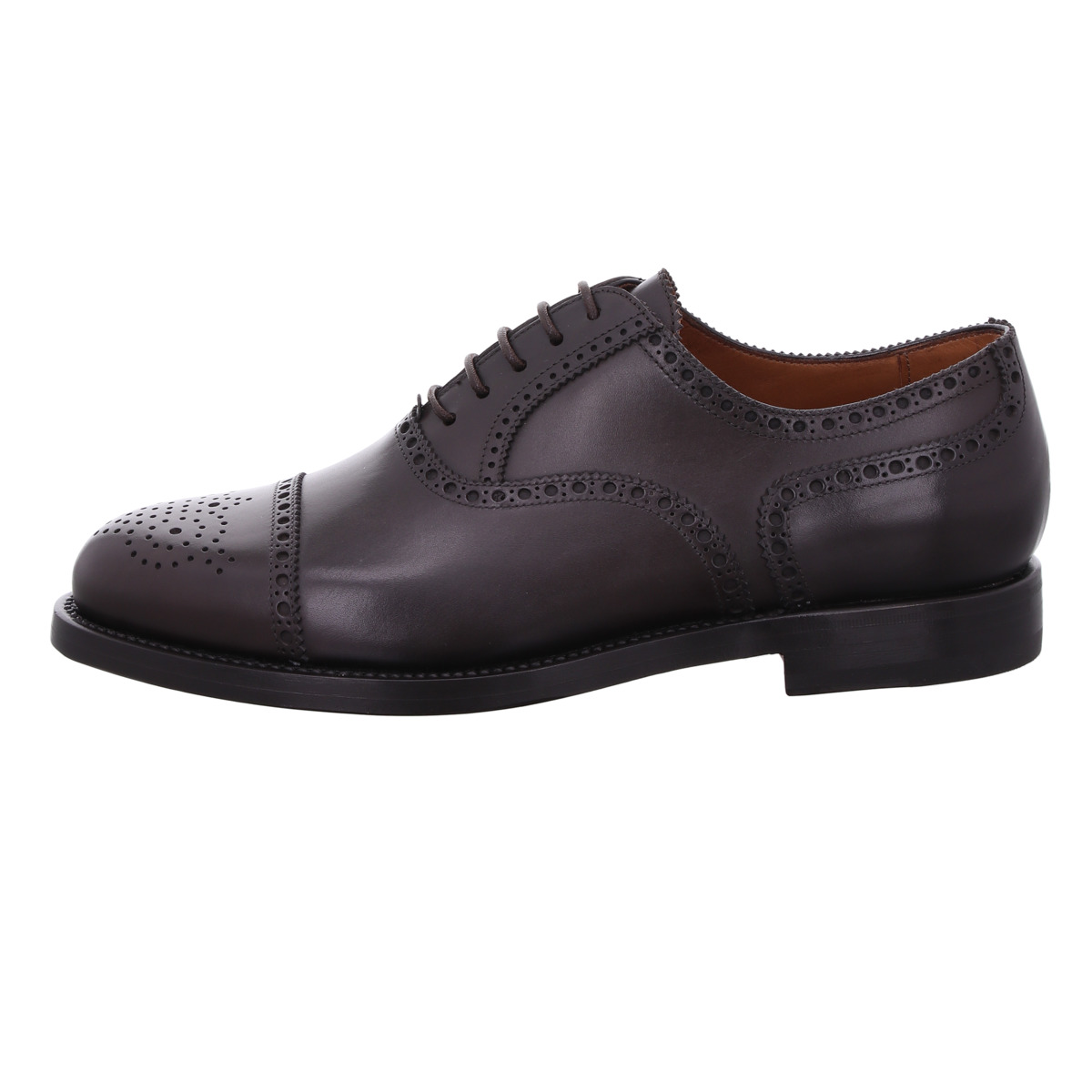 Halbschuh, Lendvay & Schwarcz
